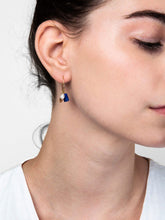 Load image into Gallery viewer, Charm Hoop Earrings - Erica

