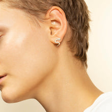 Load image into Gallery viewer, Snake Earrings - Conda
